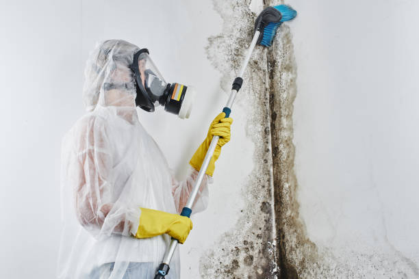 Best Water Damage Restoration  in Asheboro, NC