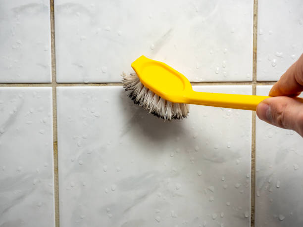 Asheboro, NC Mold Removal Company