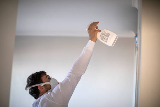 Best Crawl Space Mold Removal  in Asheboro, NC