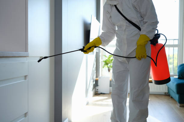 Best Mold Remediation Services  in Asheboro, NC