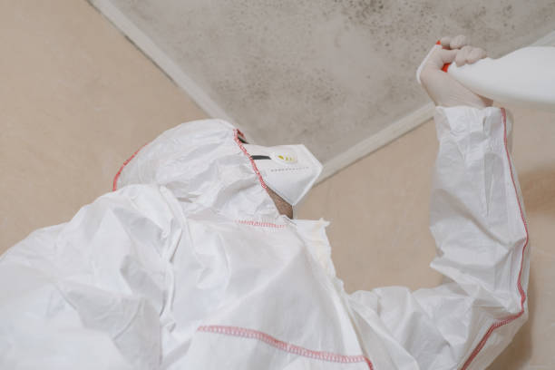 Best Residential Mold Removal  in Asheboro, NC